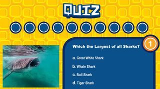 Quiz Seas - Screenshot 1
