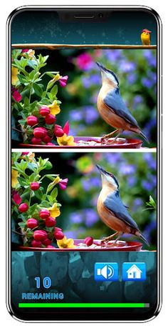 Find Image Difference - Screenshot 3