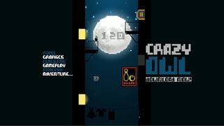 Crazy Owl – Wall Jump Adventur - Screenshot 3