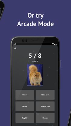 Cat Breeds: Quiz - Screenshot 3