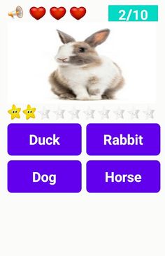 watch pet - Screenshot 1