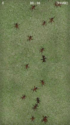 Bug Smasher - Ant Smasher - Screenshot 4