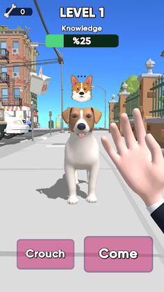 Pet Master 3D - Screenshot 1