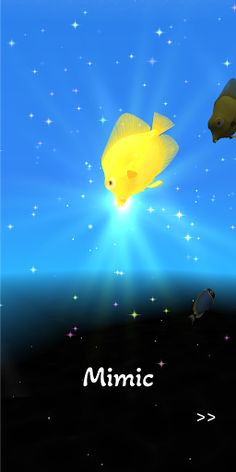 Feeding My Fish: Make Aquarium - Screenshot 4