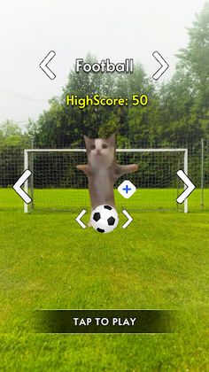 Troll Smash - Cat Tennis Game - Screenshot 2