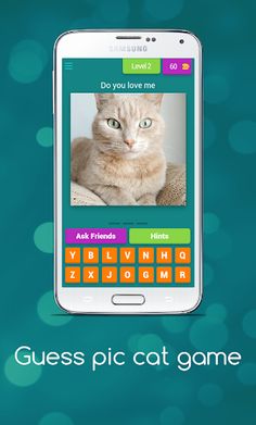 Guess Cute Cat Game - Screenshot 3