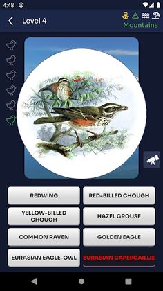 Bird Melody - Birds of Europe - Screenshot 4