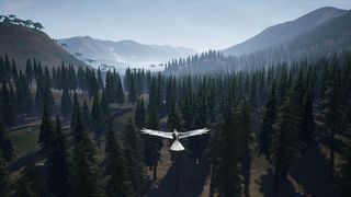 Flight : The Valley - Screenshot 2