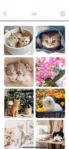 Jigsaw Puzzles - Rotate Puzzle - Screenshot 4