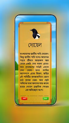 Bird Identification - Screenshot 2