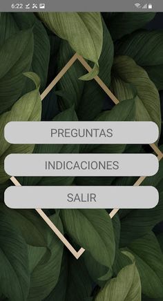 Preguntas - Screenshot 1
