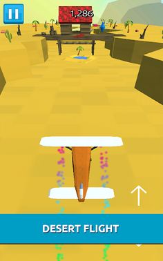 Desert Flight - Screenshot 3