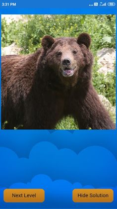 Animal Challenge - Screenshot 2