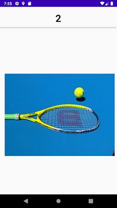 The Observation Game - Screenshot 2