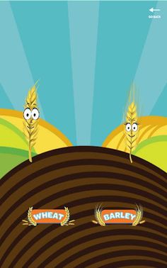 Grain Gallery AR - Screenshot 2