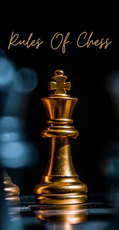 Rules Of Chess:Chess Game Rule - Screenshot 3