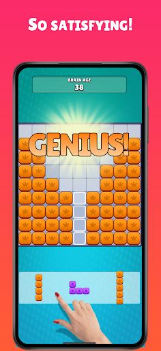 Big Big Block Blast! IQ Puzzle - Screenshot 3