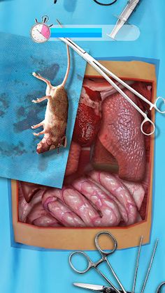 Doc Ragdoll Clinic Simulator - Screenshot 4