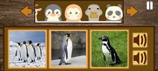 Animal Sound - Screenshot 3