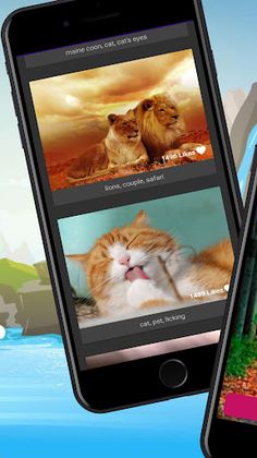 Animals and Nature - HD Photo - Screenshot 3