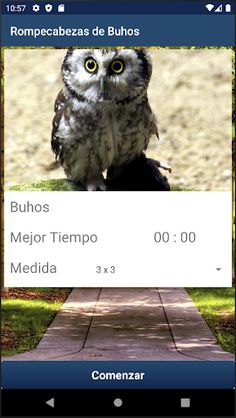 Rompecabezas de Buhos - Screenshot 3