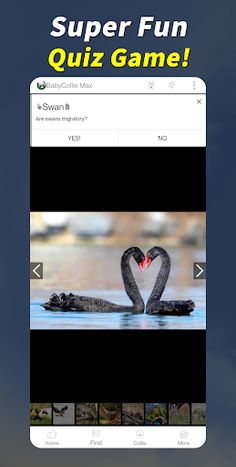 BabyCollie Max: Quiz Game with - Screenshot 1