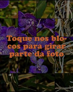 Quebra-Cabeça de Flores - Screenshot 2