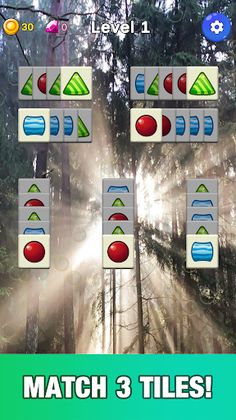 Match 3 Forever - Screenshot 1