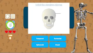 Know Your Skeleton Quiz Game - Screenshot 2