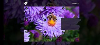 Picture Puzzle LF - Screenshot 3