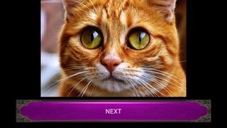 Wlider Puzzle Adventure - Screenshot 1