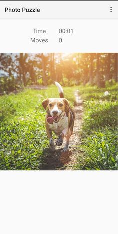 Photo Puzzle Game - Screenshot 3