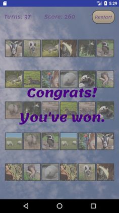 Memory Match - Screenshot 1