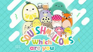 Squishmallow  Game - Screenshot 1