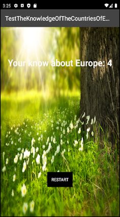 TestTheKnowledgeOfTheCountries - Screenshot 3