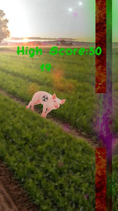 Swine - Screenshot 3