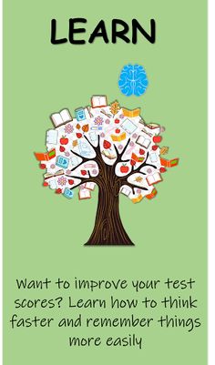 BrainBank (Alpha) - Screenshot 4