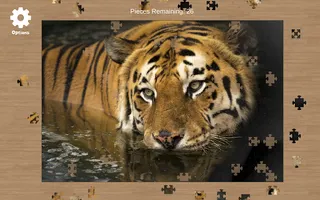 Jigsaw Star - Screenshot 1