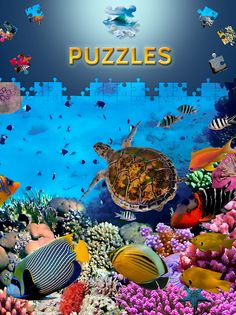 Ocean Jigsaw Puzzles - Screenshot 3