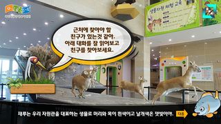 자원관이 살아있다(Adventure at Museum) - Screenshot 1