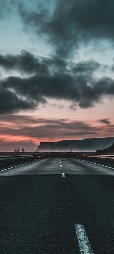 Vibrant tulip fields - Screenshot 1