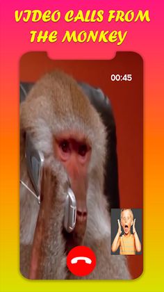 Donkey Prank video call - Screenshot 3