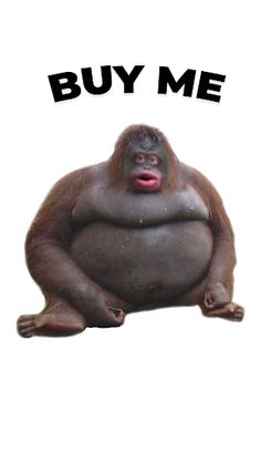 NFT Monke Screenshot - Screenshot 2