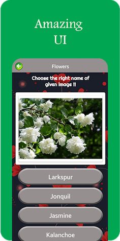 Picture Eleven - Screenshot 3