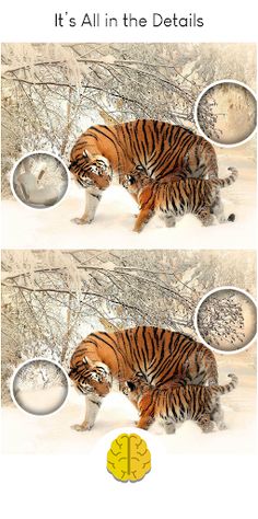 Find Differences: Brain Test - Screenshot 2