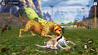Wild Simulator 3D - Screenshot 1