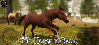 Ultimate Horse Simulator 2 - Screenshot 1