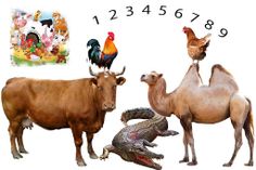 Count the Animals - Sounds of - Screenshot 3