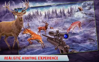 Wild Animal Hunter - Screenshot 2