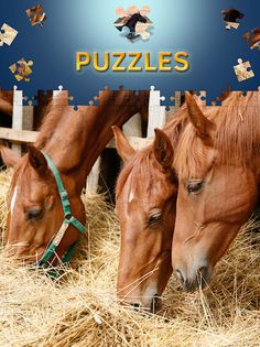 Horses Jigsaw Puzzles Free - Screenshot 3